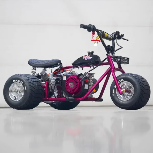 Racing Raspberry